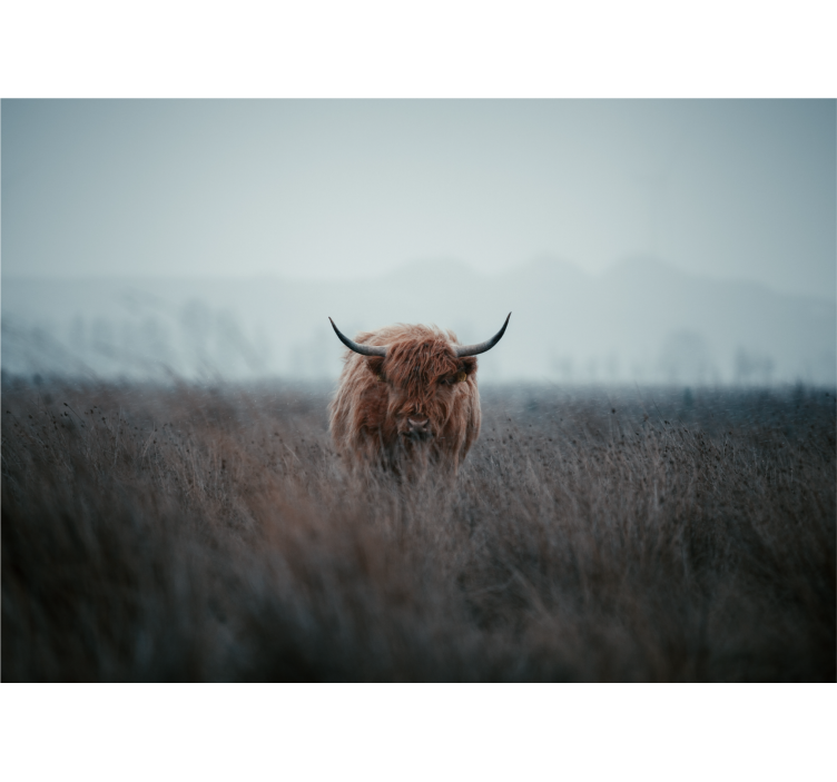 Store enrouleur salon vache des highlands - TenStickers