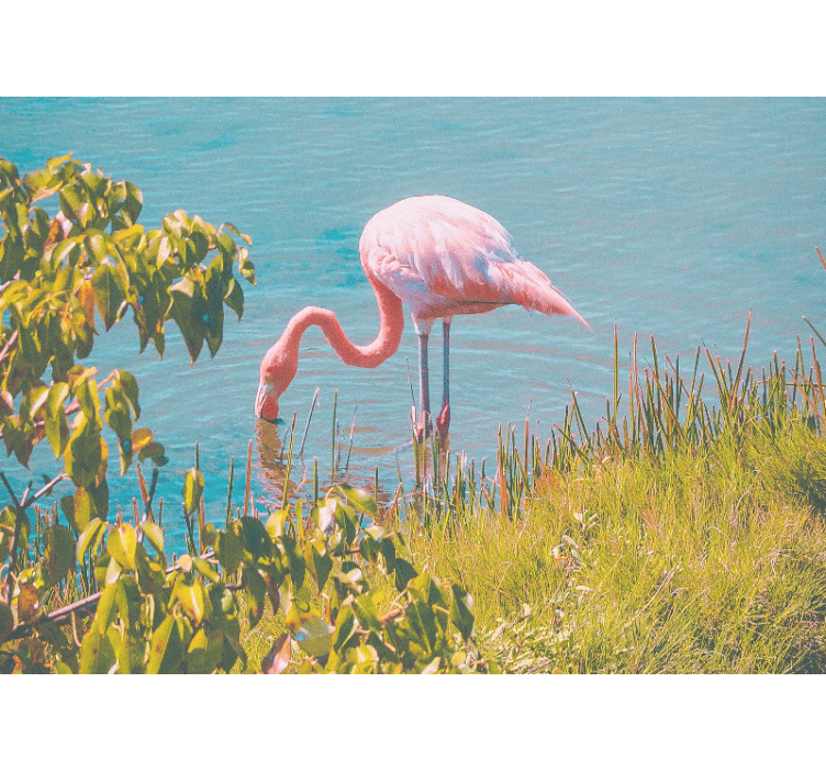 Store enrouleur salon flamant rose près de l'eau - TenStickers