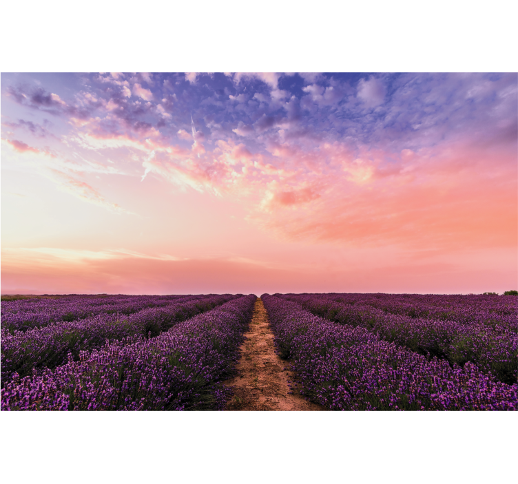 Store enrouleur salon fleurs de lavande en france - TenStickers