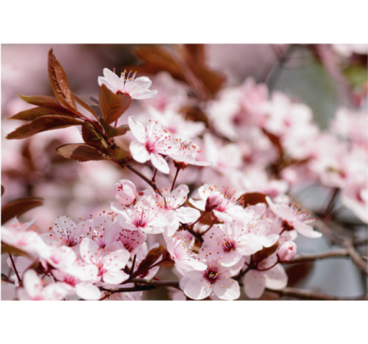 Store enrouleur salon fleurs de cerisier - TenStickers