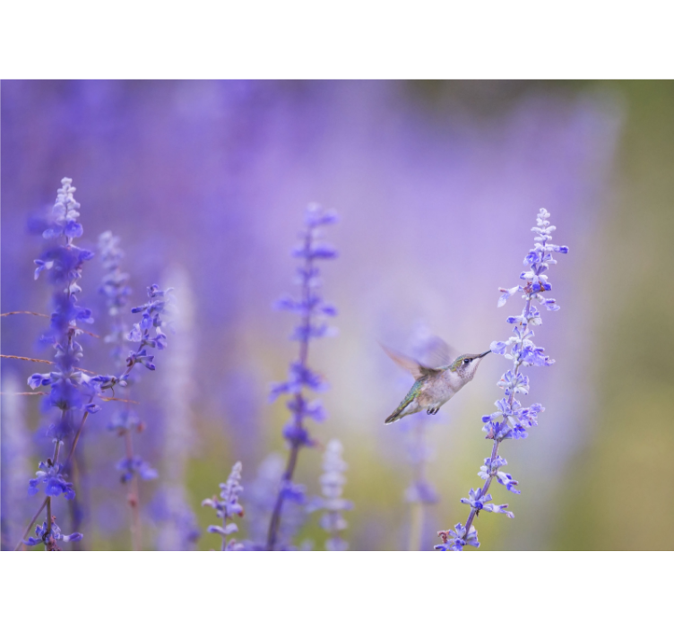 Store enrouleur salon fleurs avec oiseau - TenStickers