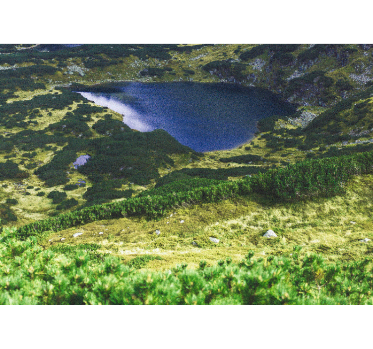 Store enrouleur salon montagnes polonaises vertes - TenStickers
