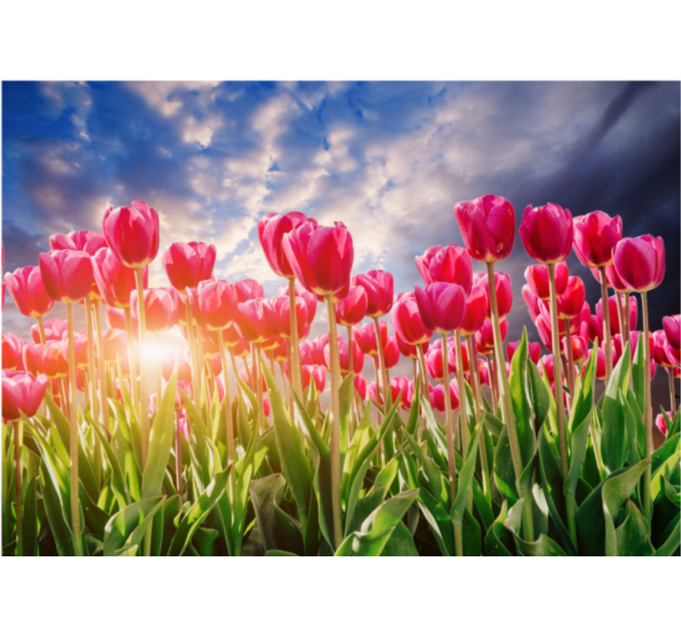 Store enrouleur salon coucher de soleil fleuri - TenStickers