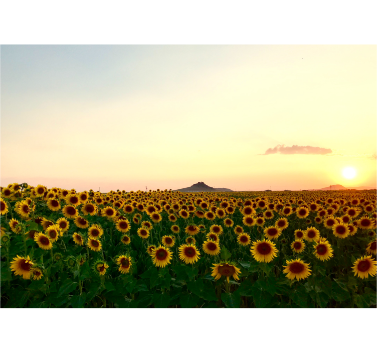 Store enrouleur salon paysage spectaculaire avec fleurs - TenStickers
