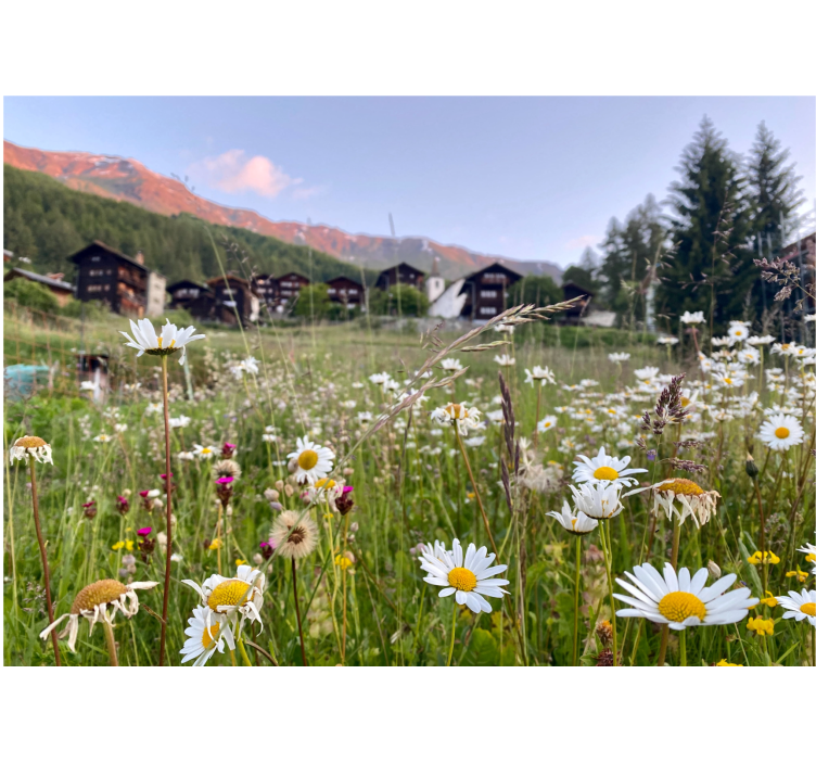 Store enrouleur salon paysage floral village - TenStickers