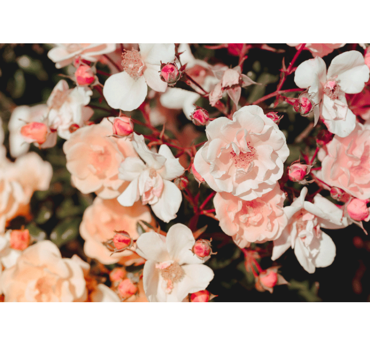 Store enrouleur salon fleurs en abondance - TenStickers