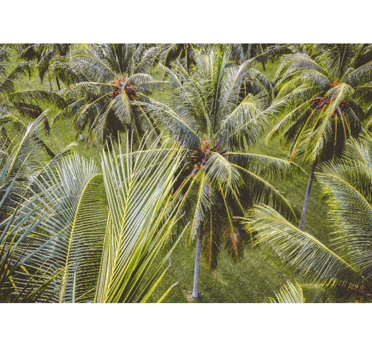 Store enrouleur salon paysage de forêt de palmiers - TenStickers
