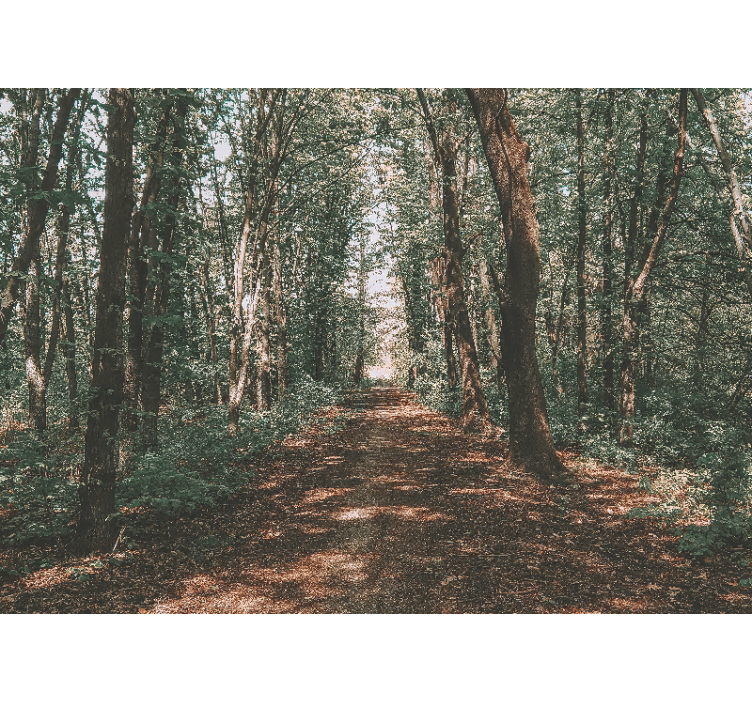 Store enrouleur salon photo forêt verte et marron - TenStickers