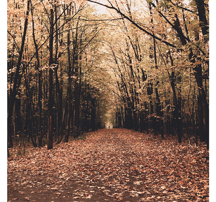 Store enrouleur salon forêt d'automne magnifique - TenStickers