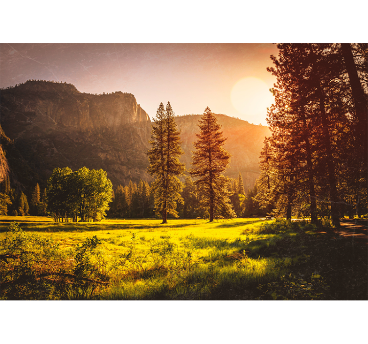 Store enrouleur salon coucher de soleil derrière les arbres - TenStickers