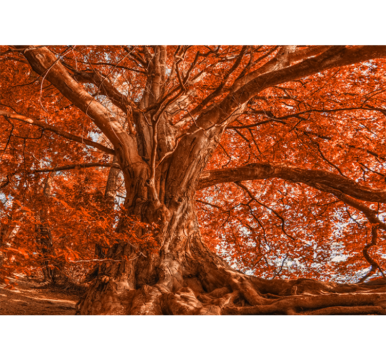 Store enrouleur salon grand bel arbre d'automne - TenStickers