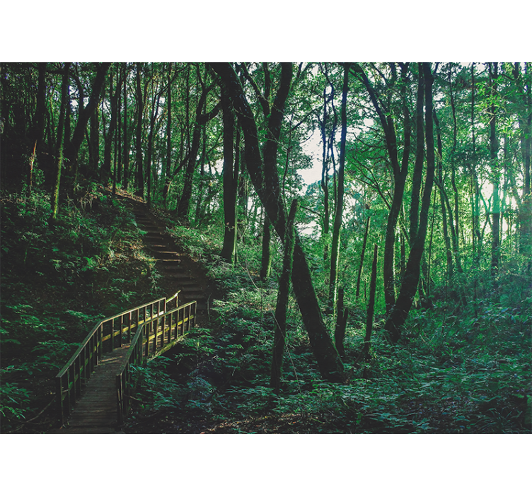 Store enrouleur salon paysage d'arbres verts - TenStickers