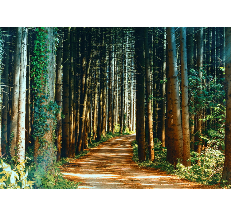 Store enrouleur salon chemin naturel arbre portail - TenStickers