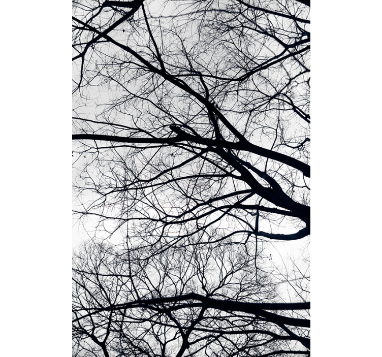 Store d'arbre blanc et gris - TenStickers
