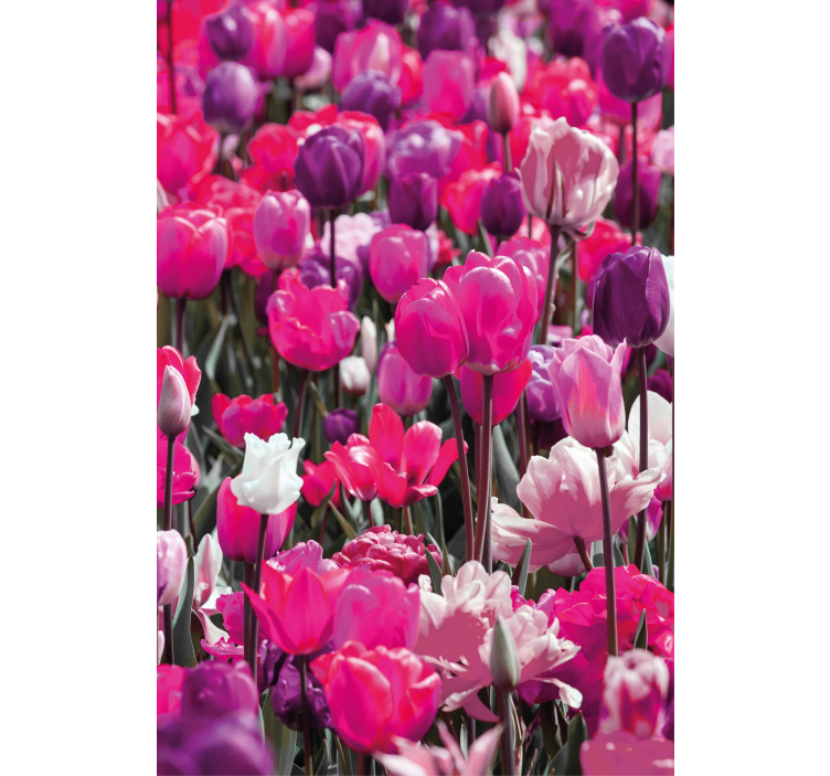 Store enrouleur fleurs et plantes tulipes violettes - TenStickers