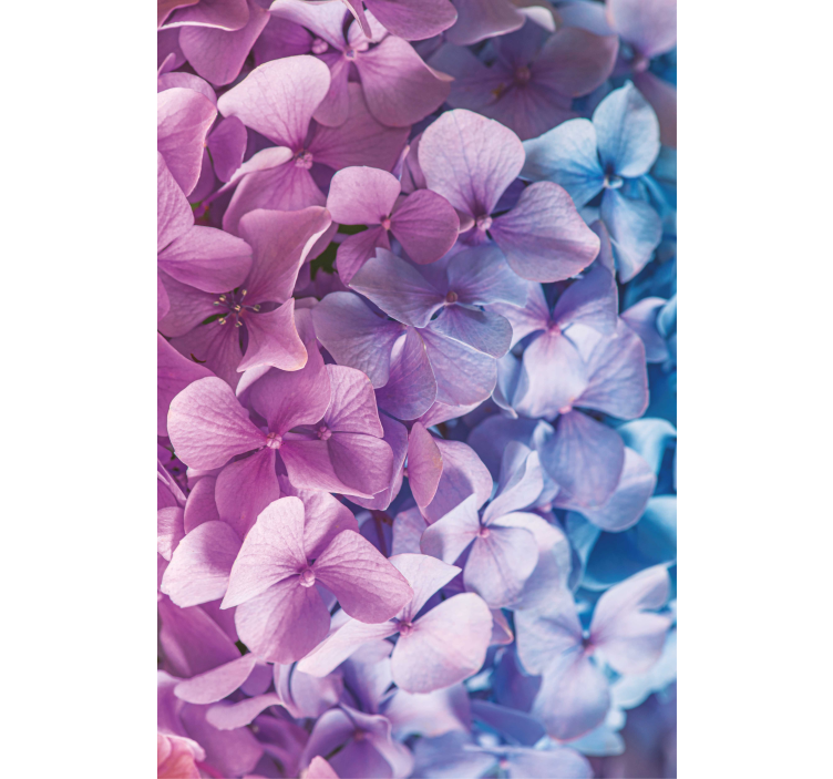 Store enrouleur fleurs et plantes bouquet d'hortensias - TenStickers