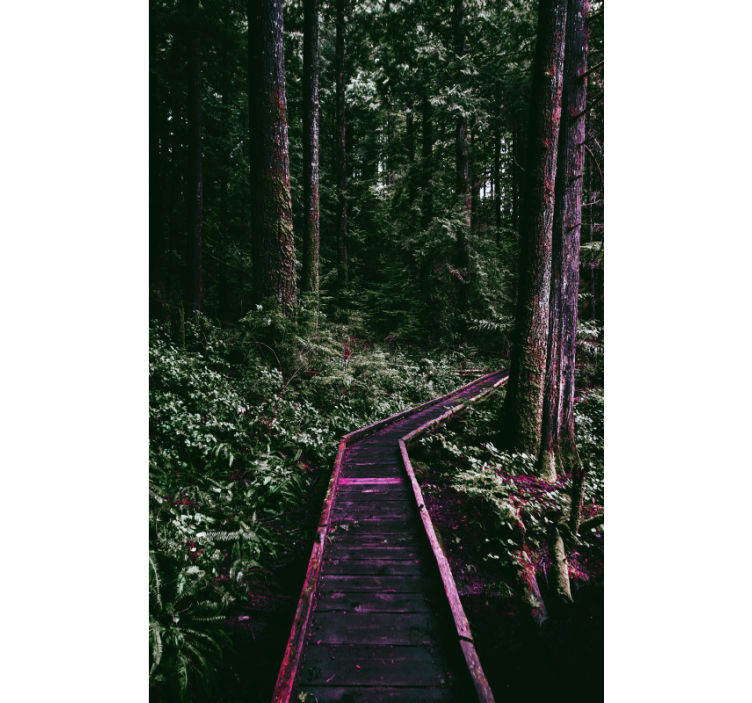 Store enrouleur arbre sentier forestier - TenStickers