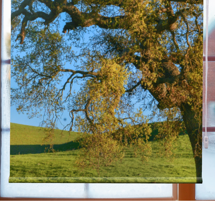Store enrouleur paysage nature photo arbre - TenStickers