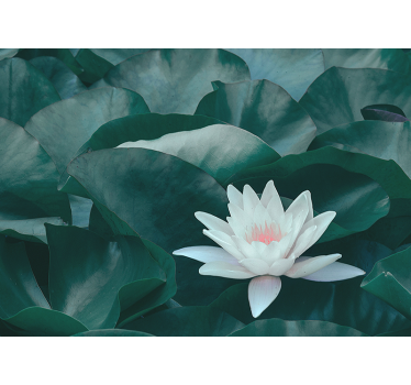 Store enrouleur cuisine fleur de lotus blanche zen - TenStickers