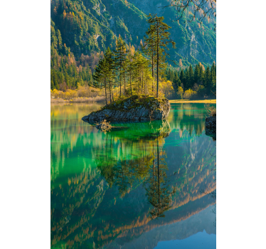 Arbre réfléchi nature store - TenStickers