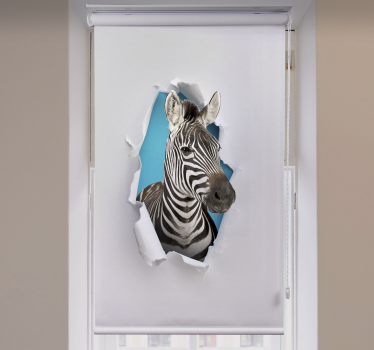 Store plus d'animaux Zèbre - TenStickers