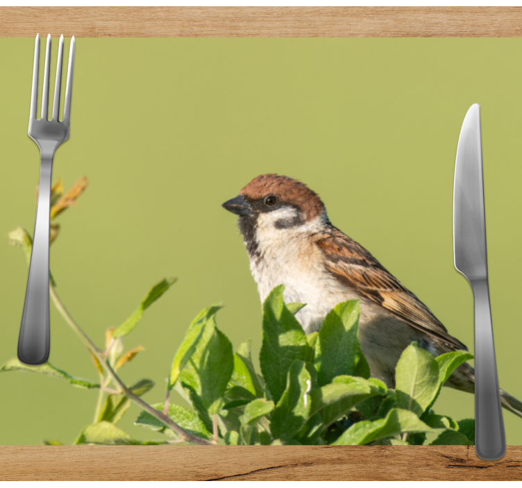 Set de table moderne oiseau sur vert - TenStickers