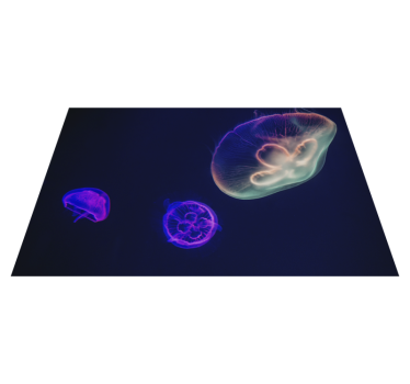 Set de table avec prénom thème méduses colorées - TenStickers