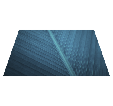 Set de table forme moderne Grande feuille gris bleu - TenStickers