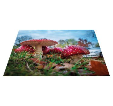 Set de table moderne scène culinaire champignon - TenStickers