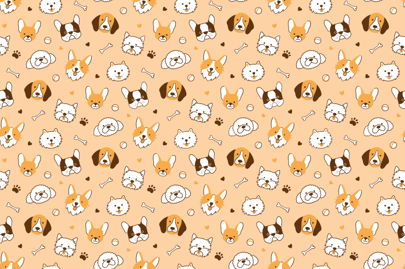 Set de table enfant visages d'animaux mignons - TenStickers