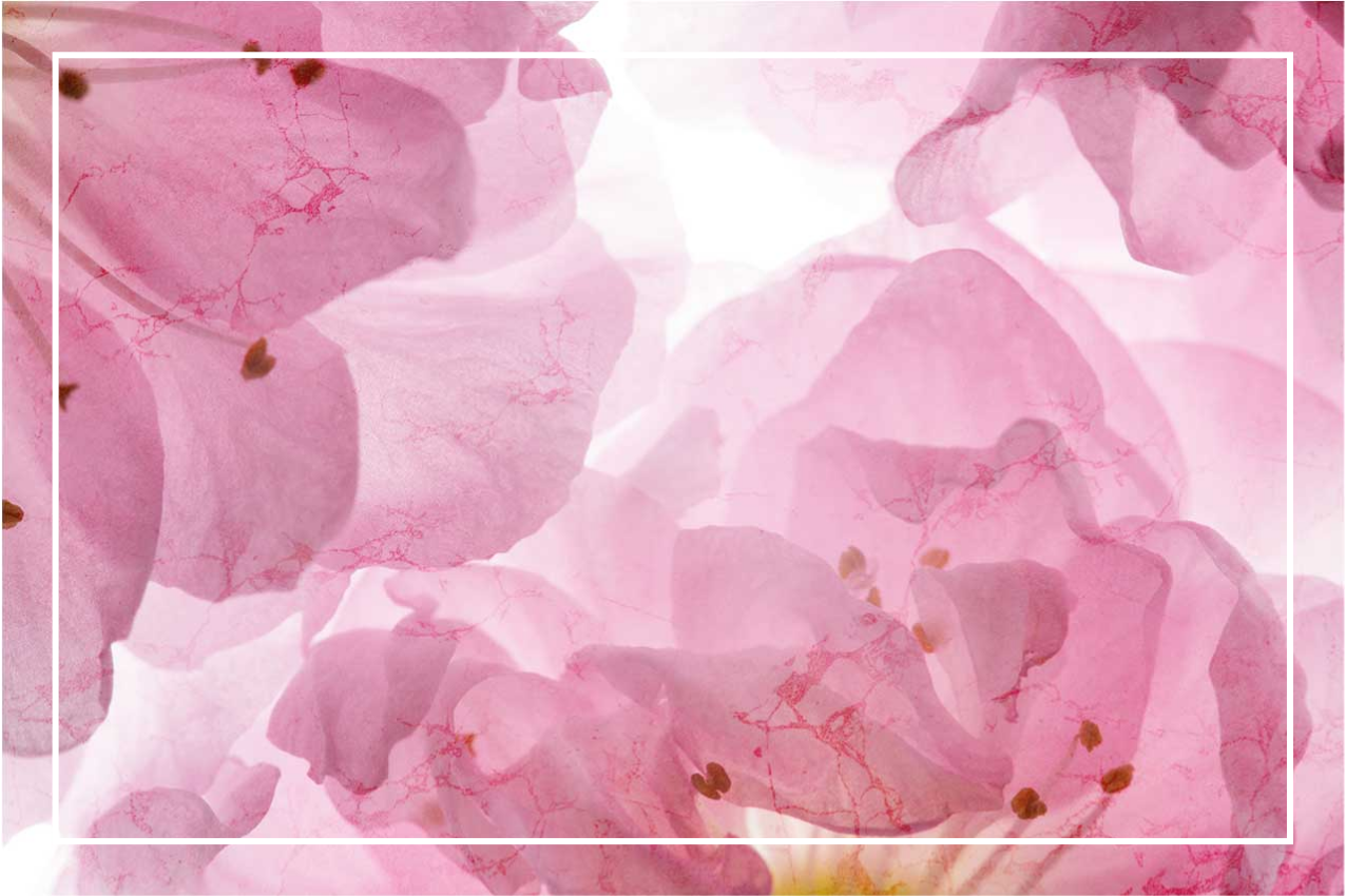 Set de table élégant motif floral doux - TenStickers