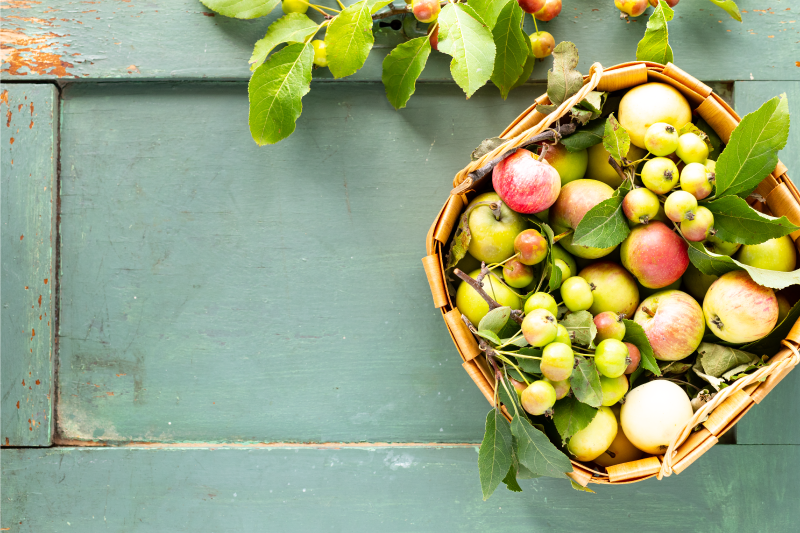 Set de table maison arrangement de fruits - TenStickers