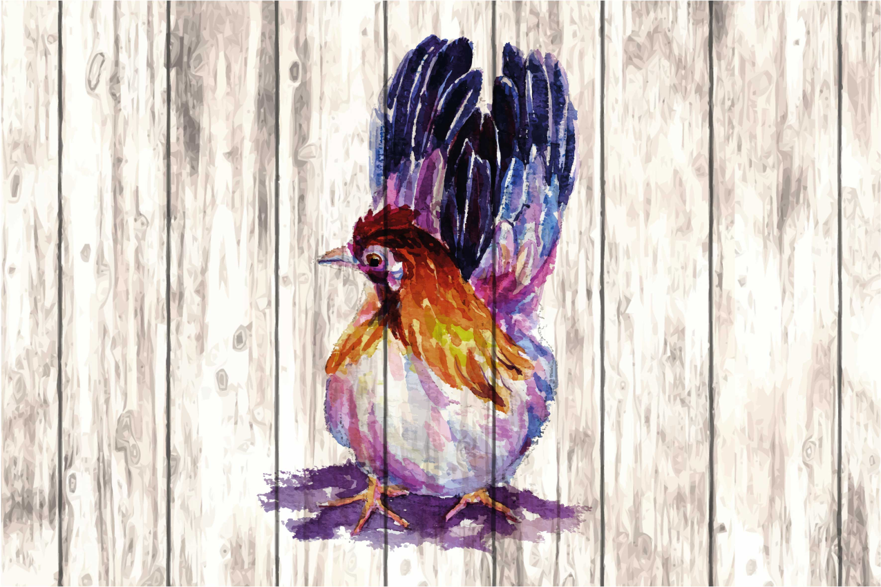 Set de table original illustration d'oiseaux colorés - TenStickers