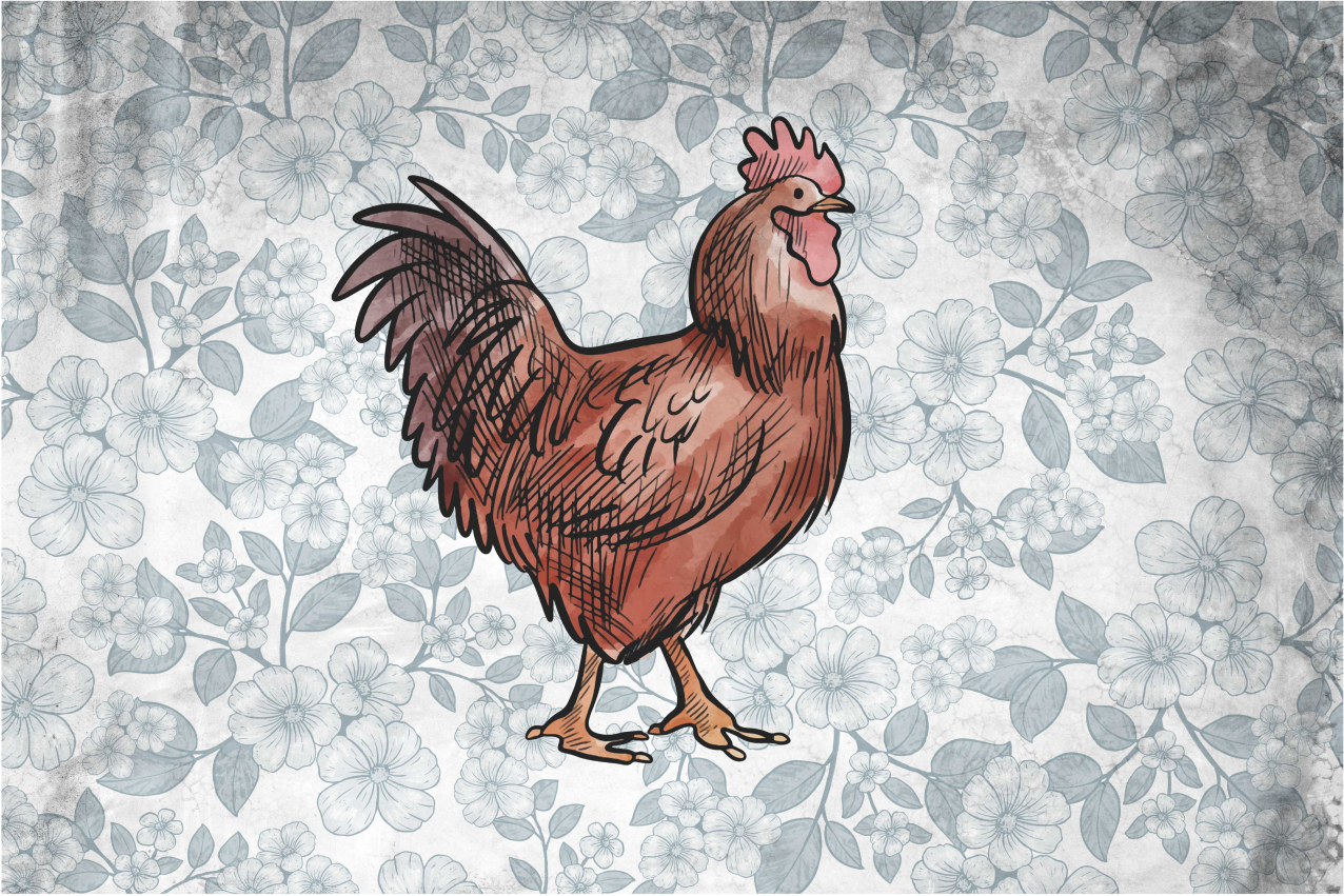 Set de table original illustration de poulet rustique - TenStickers