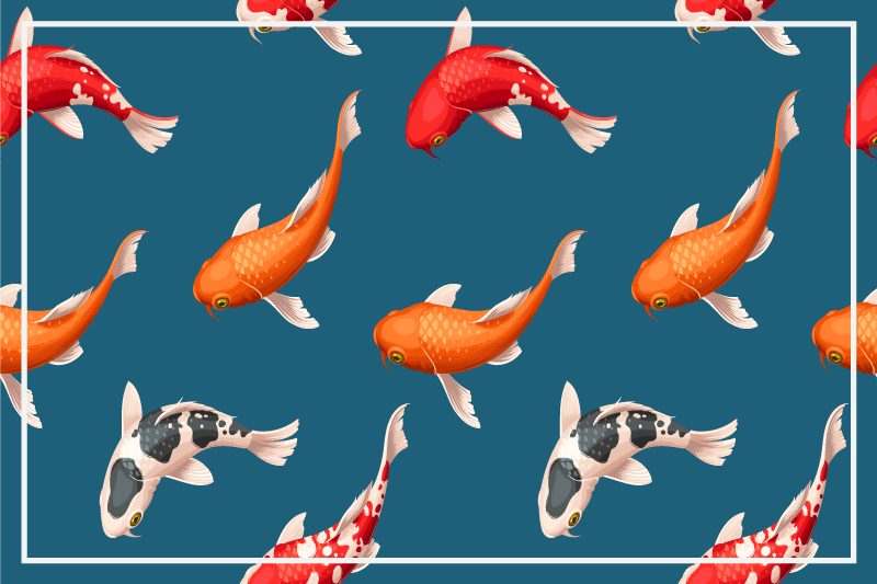 Set de table original motif de poissons koi colorés - TenStickers