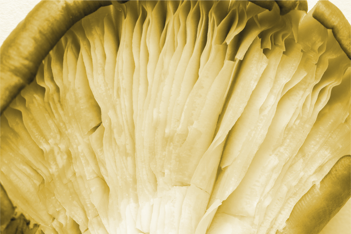 Set de table feuilles courbées en couches - TenStickers