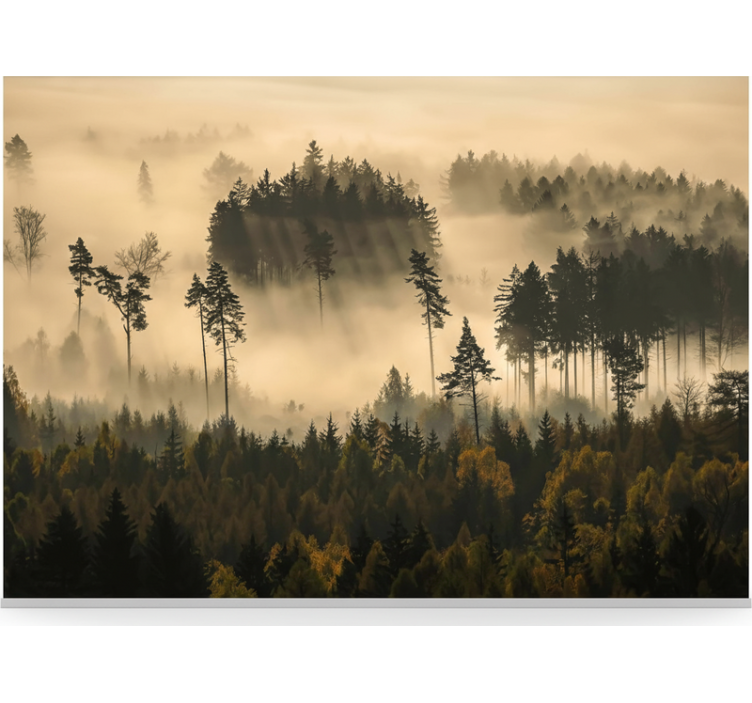 Papier peint forêt brume matinale éthérée - TenStickers