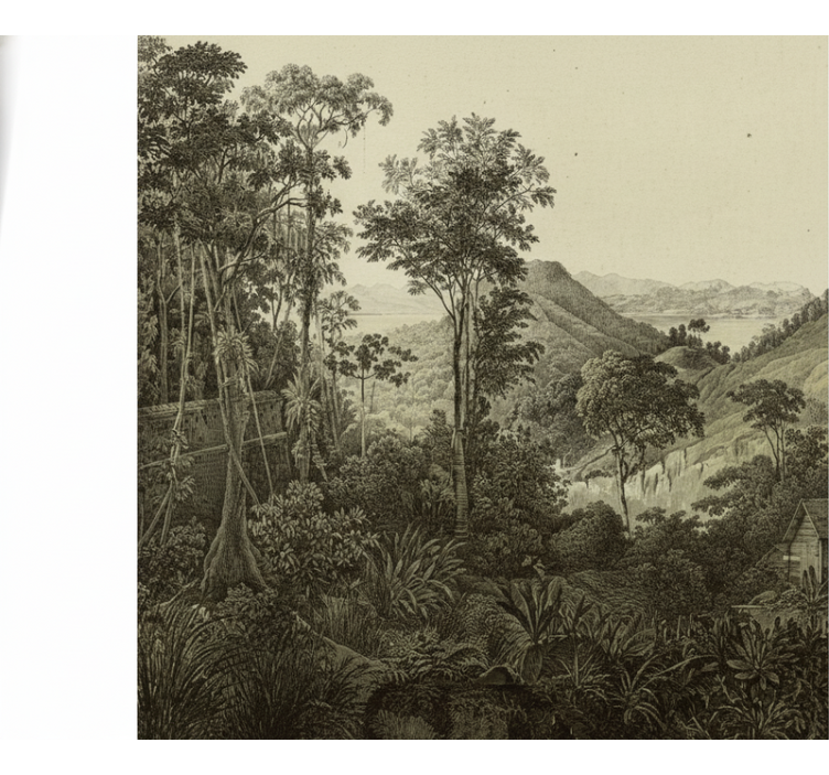 Papier peint forêt motif forêt vallonnée - TenStickers