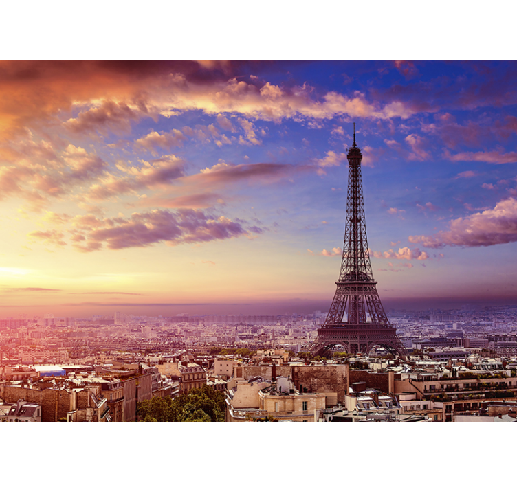 s photo paris vue par air - TenStickers