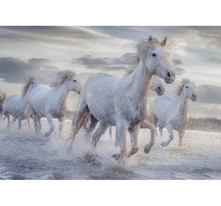 Tapisserie animaux chevaux blancs en course - TenStickers