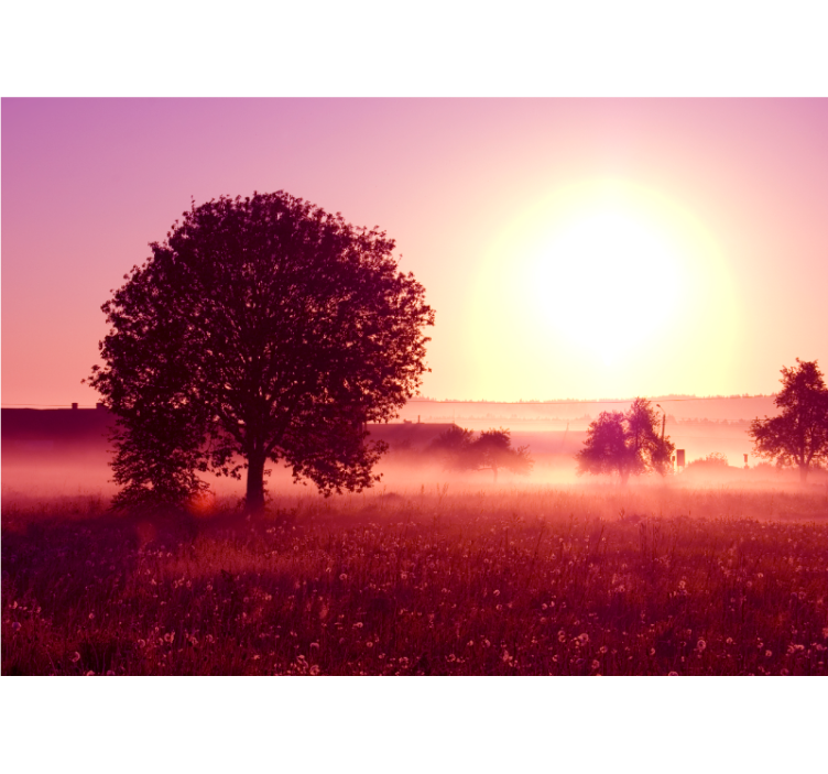 Tapisserie nature arbre en silhouette au coucher de soleil - TenStickers