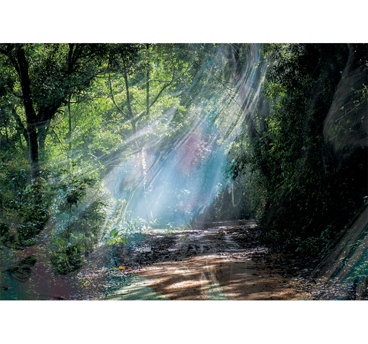 Papier peint nature chemin lumineux en forêt - TenStickers