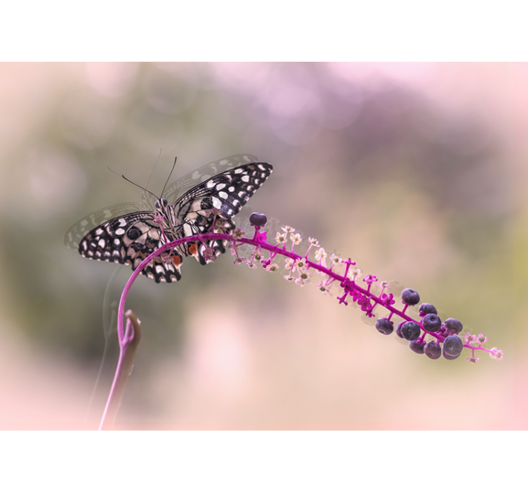 Tapisserie fleur papillon sur une plante - TenStickers