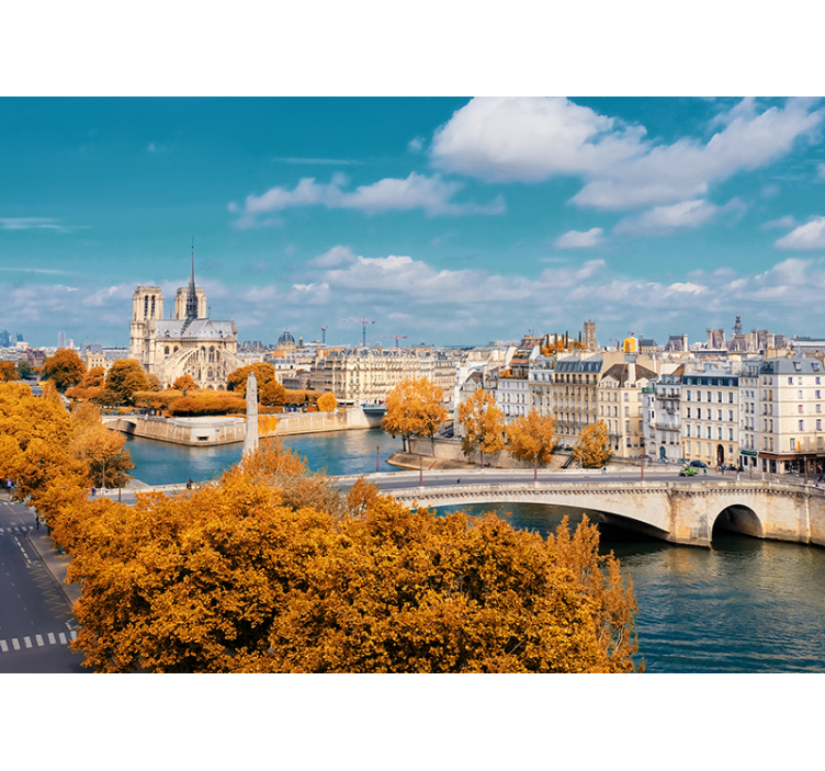 Tapisserie paris vue d'automne sur notre-dame - TenStickers