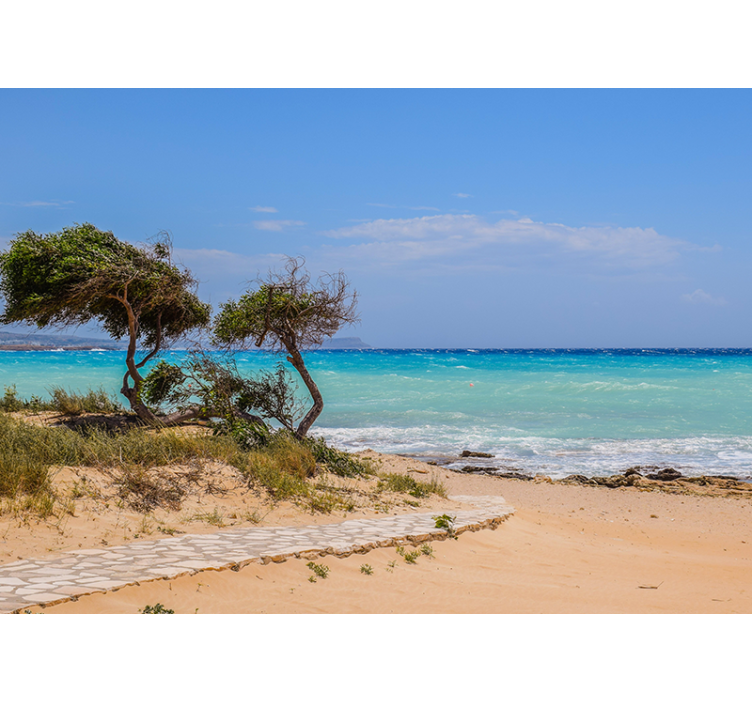 Tapisserie mer chemin de scène serein - TenStickers