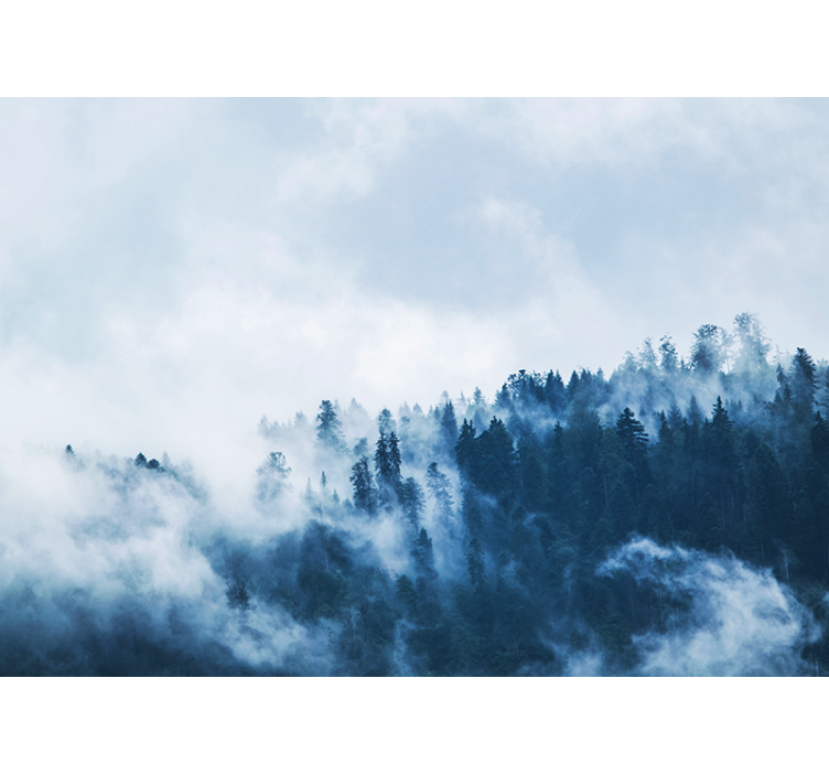 Tapisserie nature paysage forestier brumeux - TenStickers