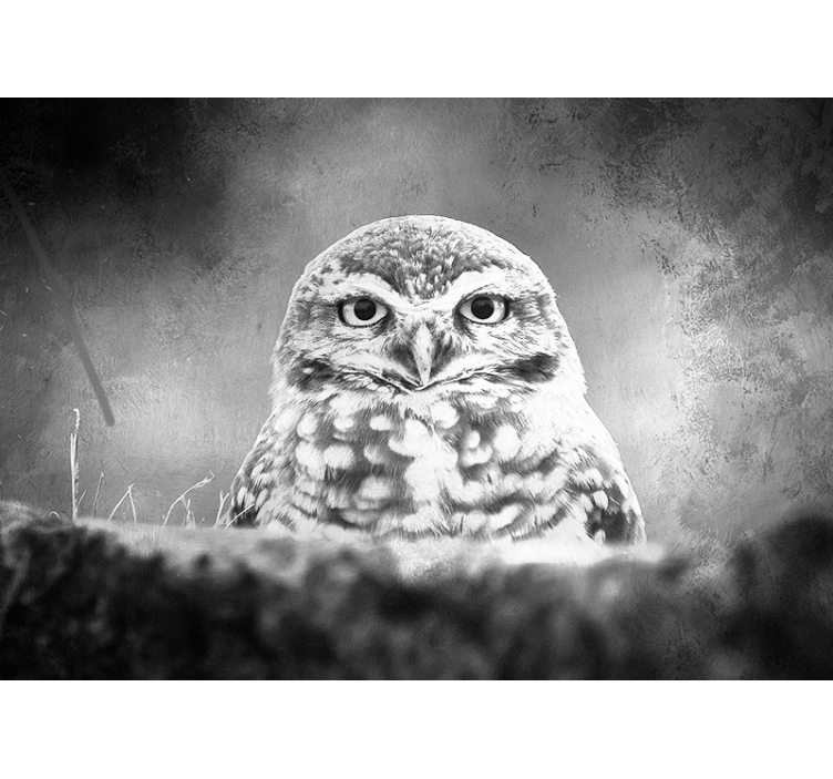 Tapisserie animaux portrait de hibou majestueux - TenStickers