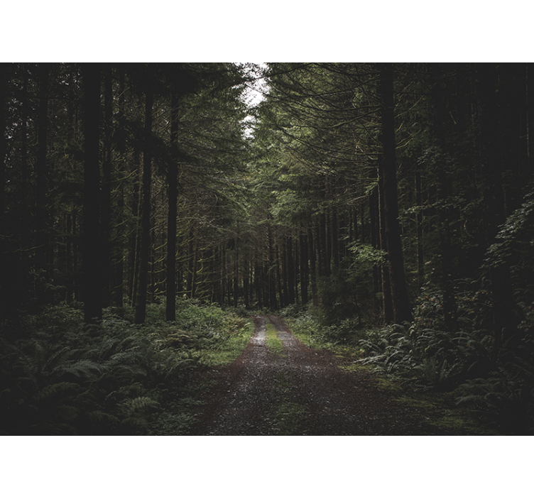 Tapisserie nature sentier boisé verdoyant - TenStickers