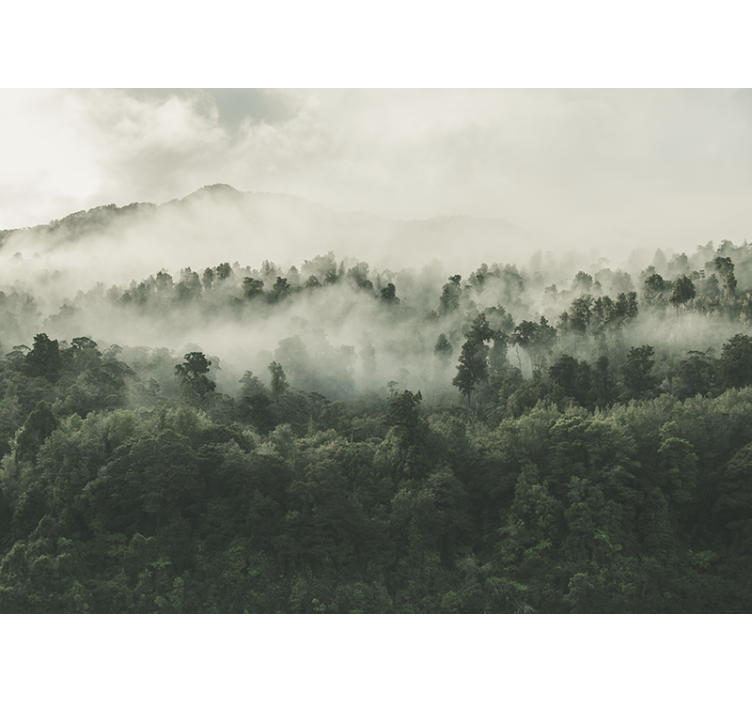 Papier peint forêt brumeuse vue d'en haut - TenStickers