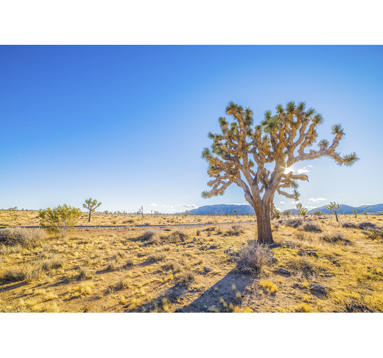 Tapisserie montagne paysage de joshua tree - TenStickers